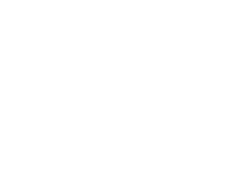 Wurzelstock Bern